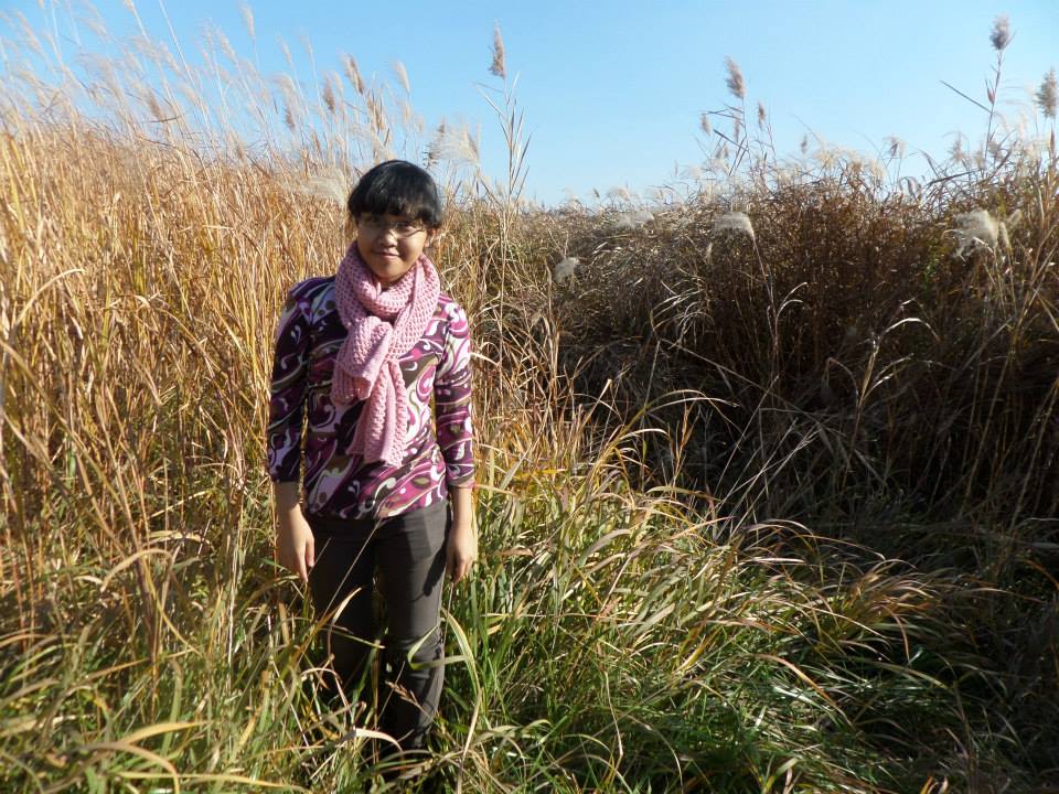 Tersesat di antara ilalang.